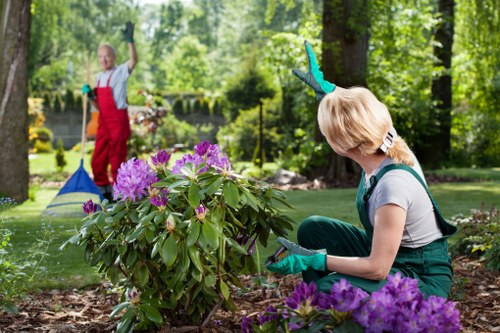 In a well-maintained backyard garden within a residential area, a woman with blonde hair, wearing teal gardening gloves, a grey t-shirt, and dark green overalls, is kneeling on the soil near a flowering shrub with vibrant purple blossoms. The garden features a lush, green lawn with evenly cut grass, bordered by flower beds and small bushes. Tall trees with dense foliage provide natural shade and a tranquil backdrop, while a paved patio area is partially visible in the background. In the distance, another person dressed in red overalls and a white shirt is raking leaves or garden debris, indicating ongoing garden maintenance. The scene is set on a clear, sunny day, with soft natural light illuminating the plants and garden features, reflecting a typical outdoor environment that Landscapers Blackheath might service, highlighting the beauty of well-kept outdoor spaces in the Blackheath area in London.