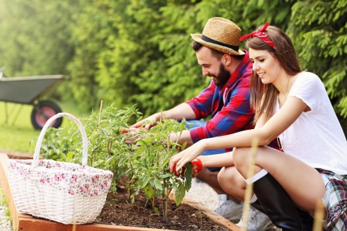 Garden waste and rubbish pricing information for Blackheath properties