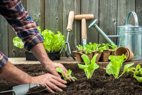 The image depicts a person planting young lettuce seedlings into dark, freshly turned soil within a backyard garden. The garden is enclosed by a weathered wooden fence, with a variety of gardening tools such as a trowel, watering can, and small pots arranged on a rustic wooden surface. In the foreground, there are several bright green lettuce plants already growing, with their leaves displaying fresh, vibrant tones. Behind the planting area, glimpses of a well-maintained lawn and a shrubbery border are visible, indicating a structured outdoor space suited for gardening and landscaping activities. The weather appears mild and cloudy, providing optimal conditions for planting. This scene illustrates typical garden planting work that might be undertaken by professionals like Landscapers Blackheath in local residential gardens, emphasizing healthy plant growth, garden layout, and outdoor environmental maintenance in the Blackheath area, situated near London boroughs requiring attentive gardening services.