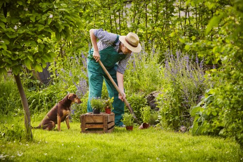 A gardener wearing a straw hat, a blue checkered shirt, and green overalls is tending to a lush garden in a back yard, using a rake to work on the soil near a small wooden planter box with potted plants. The garden features a well-maintained grassy lawn area in the foreground, bordered by a variety of green shrubs, tall flowering plants with purple blossoms, and leafy trees providing shade. A brown dog is sitting attentively nearby on the grass. The environment appears bright and sunny, with natural light illuminating the vibrant green foliage and colorful flowers, contributing to a neat and inviting outdoor space typical of gardens in Blackheath, suitable for various landscaping and lawn care services.