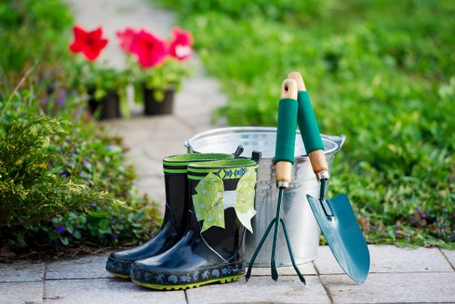 Deck maintenance and repair in Blackheath