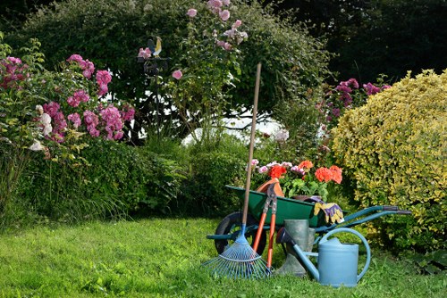 A well-maintained garden scene featuring a lush, green lawn bordered by vibrant flowering bushes and trees, including pink roses and possibly hydrangeas, with different shades of green foliage creating a natural backdrop. In the foreground, various gardening tools and supplies are arranged on the grass, including a blue watering can, a garden rake with a blue handle, a small hand trowel, and a wheelbarrow filled with gardening gloves and other tools. The background shows a hedge or dense shrubbery, indicating a private outdoor space in Blackheath, suitable for outdoor gardening and landscaping activities. Natural lighting suggests a bright, possibly sunny day, emphasizing the fresh, healthy appearance of the garden, which is consistent with professional gardening services provided by Landscapers Blackheath.