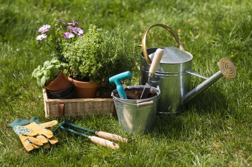 Lawn care professionals working in Blackheath