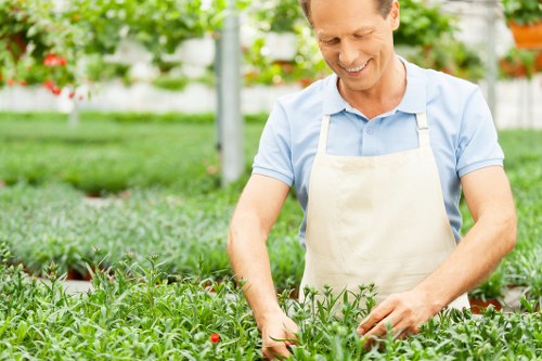 A professional gardener in a light blue shirt and beige apron is working in a well-maintained garden, surrounded by lush green plants, including flowering shrubs and neatly trimmed hedges, within a greenhouse or outdoor garden space. The garden features vibrant green grass, organized flower beds with a mix of foliage, and paved pathways visible in the background, with natural sunlight illuminating the scene. The gardener appears to be inspecting or tending to the plants with a focused expression, conveying outdoor maintenance and gardening expertise typical of Landscapers Blackheath’s services in the local Greenwich area. The environment demonstrates a healthy, thriving outdoor space suitable for lawn care and garden landscaping projects, reflecting quality, safety, and sustainable outdoor management.