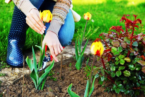 The image shows a person's hands planting yellow tulips with red streaks into freshly turned soil in a garden bed. Surrounding the planting area are green grass and a low hedge with reddish-green leaves. The garden features a well-maintained lawn, edged by a paved pathway made of stone slabs. In the background, there are mature trees and additional shrubbery, indicating a landscaped outdoor space in Blackheath. The scene is illuminated by natural daylight under partly cloudy weather, suggesting a mild and inviting environment suitable for gardening activities. The person's attire includes a knitted sweater and blue jeans, and they are wearing blue rain boots, indicating outdoor maintenance at a typical UK garden. This setting reflects a focus on gardening and landscape renovation, aligning with the services offered by Landscapers Blackheath for garden improvement projects in the local area.
