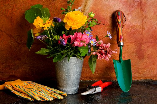 A close-up view of a garden workspace featuring a large grey concrete flowerpot filled with a vibrant arrangement of fresh flowers, including yellow, pink, and purple blossoms, placed on a dark, textured surface. Beside the pot, there is a pair of garden pruning shears with black handles, a small red-handled gardening trowel with a shiny metal blade, and a pair of striped yellow and green gardening gloves. In the background, a terracotta-colored wall provides a warm backdrop, suggesting an outdoor or patio area near landscaping or garden maintenance work. The scene emphasizes gardening tools and floral elements, suitable for a professional gardening environment in Blackheath or nearby areas, aligning with services related to garden care, planting, and outdoor improvements.