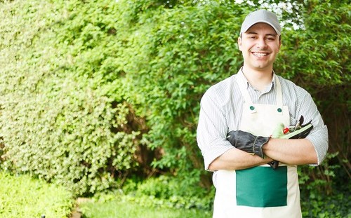 Senior review of a landscaping complaint and corrective action