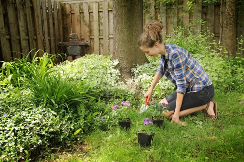 A young woman with brown hair tied back, dressed in a blue and black checkered shirt and dark jeans, is kneeling on a well-maintained grassy lawn in a front garden in Blackheath. She is planting small purple flowering plants from black nursery pots into the soil, surrounded by lush green foliage, including a variety of broad-leafed plants and flowering bushes. The garden is enclosed by a weathered wooden fence lined with mature trees, with visible tree trunks and leafy branches providing natural shade. In the background, there is a small garden ornament or birdhouse on a post. The scene appears to be on a bright, clear day with natural light illuminating the garden, suggesting a typical outdoor maintenance or gardening activity supported by local gardening services. The overall environment showcases a neatly landscaped outdoor space characteristic of gardens in the Blackheath area, with vibrant greenery, healthy plants, and a calming natural setting.