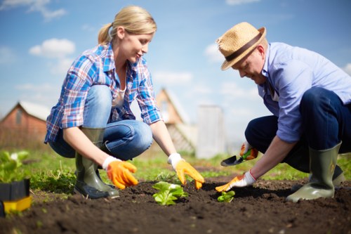 Eco-friendly lawn mowing techniques in Blackheath